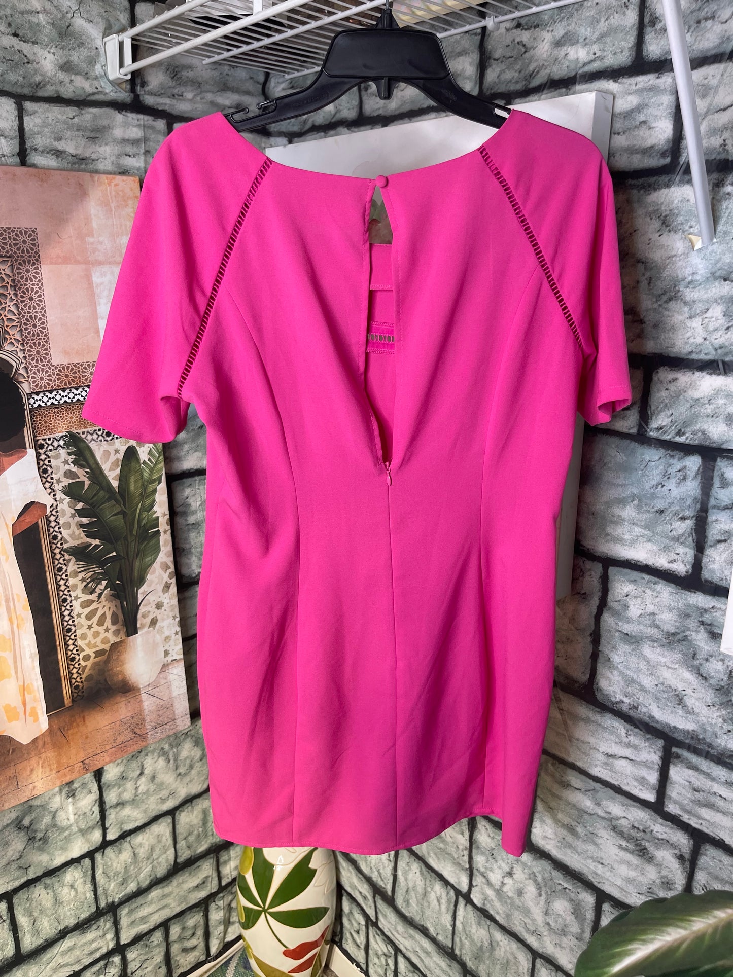 NEW Ark Co Pink Dress Women sz Large