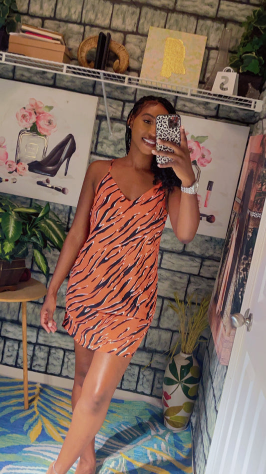 Naked Zebra Orange Print Dress Women sz Small