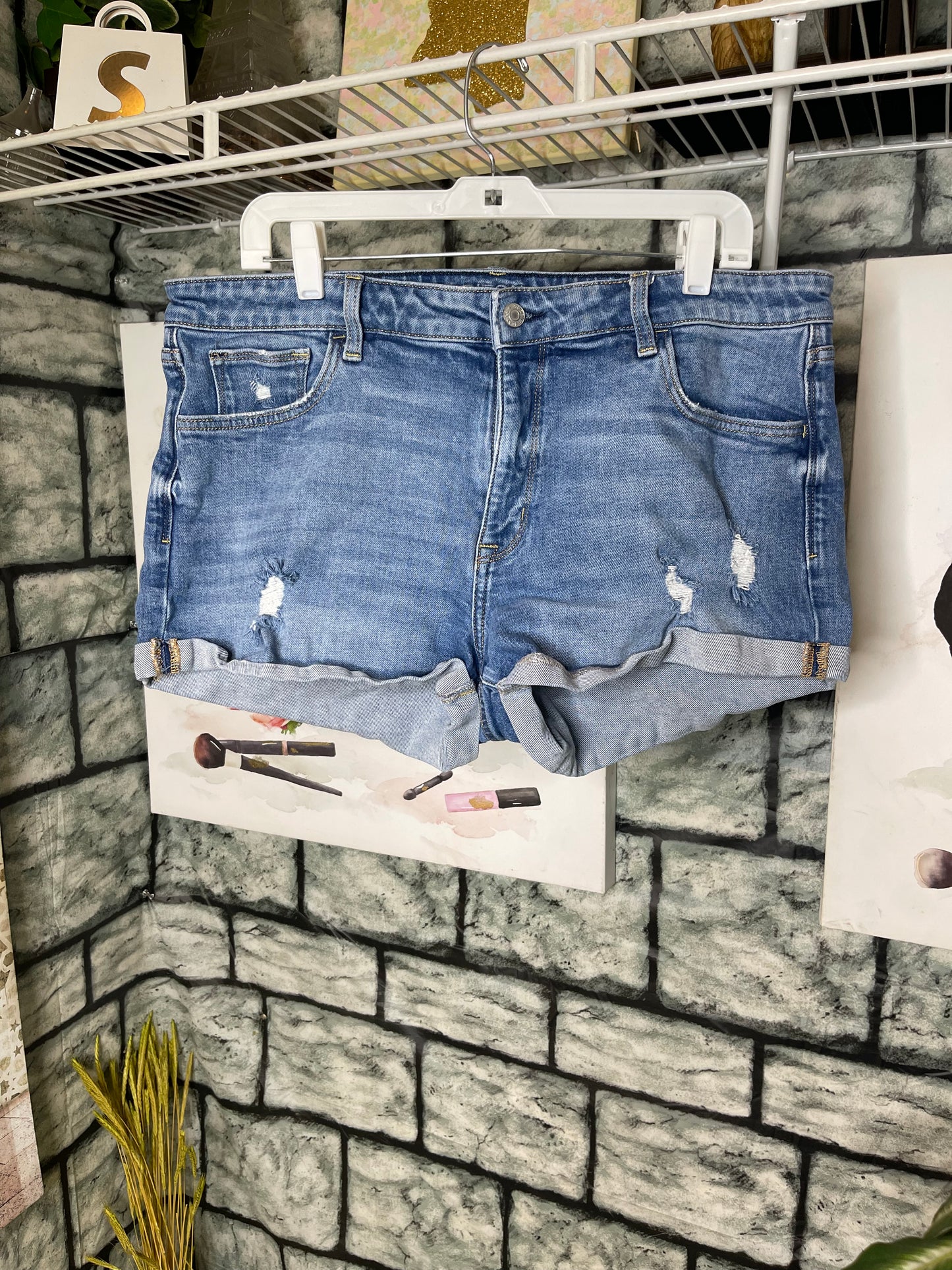 Arizona Blue Jean Shorts Women sz 17